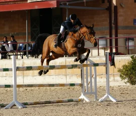 Concurso de saltos en el Real Club de Polo de Barcelona Jinete a caballo saltando un obstáculo en un concurso de saltos.