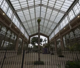 Construido hace 135 años (1887) por Josep Amargós i Samaranch, formó parte de los edificios de la Exposición Universal de 1888, y en la actualidad está protegido como bien cultural de interés local.
Consiste en un espacio ajardinado de estilo modernista distribuido en tres ámbitos: la nave central, la nave Magnolias y la nave Picasso. La imagen corresponde a la nave central. Invernadero ubicado en el parque de la Ciudadela en Barcelona
