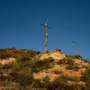 El proyecto le llevó (al autor) prácticamente un año. Ninguna cifra es casual, un año es el tiempo que se estima que lleva superar un proceso de duelo en la cultura occidental. Bosc de les Creus