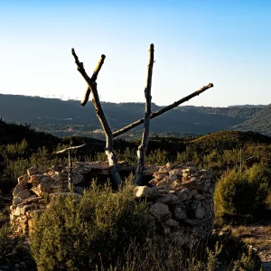 El incendio y su irremediable sensación de pérdida inspiraron a Marc Sellarès para construir 1293 cruces Bosc de les Creus