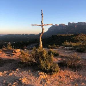 Este particular Bosque de las Cruces resulta una parada interesante si se está visitando el Monasterio de Montserrat. Bosc de les Creus
