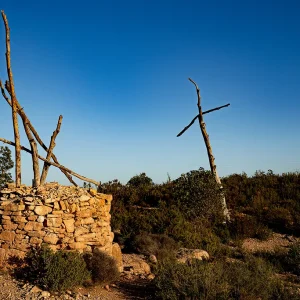 De las 1293 cruces que se levantaron, hoy en día apenas quedan dos docenas Bosc de les Creus
