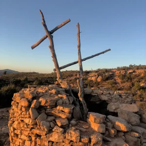 En verano de 2015, la zona sobre la que se asienta el Bosc de les Creus fue pasto de las llamas Bosc de les Creus
