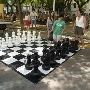 Conocida por conservar su aire de pueblo con dos niveles, arena, árboles y una fuente con el escudo antiguo de la Vila de Gràcia, siendo un punto de encuentro social y cultural donde se ubican los Lluïsos de Gràcia (entidad sociocultural) y el colegio La Salle Gràcia. Se accede a ella a través de la calle de l'Alzina y mantiene su carácter original pese a las remodelaciones, ofreciendo un espacio agradable con zona de juegos infantiles. La Plaça del Nord es una plaza tranquila y auténtica en el corazón del barrio de Gràcia, Barcelona.