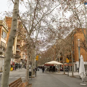 La Carrer Gran de Sant Andreu es un lugar que refleja la historia y la cultura de Barcelona. Desde su construcción, ha sido un eje central del barrio, conectando a los vecinos y ofreciendo un espacio donde se puede disfrutar de la vida cotidiana y la comunidad. La calle ha sido testigo de la evolución de la ciudad y ha mantenido su esencia de comercio de proximidad, ofreciendo a los visitantes una experiencia única de la vida barcelonesa. Carrer Grant de Sant Andreu