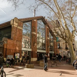 Inaugurado en 1889, fue diseñado por el arquitecto Pere Falqués y se caracteriza por su arquitectura modernista y su estilo de esqueleto metálico. El mercado ha pasado por varias reformas, siendo la más significativa entre 1994 y 1995, que incluyeron la modernización de su interior y la mejora de la accesibilidad. Actualmente, ofrece una amplia variedad de productos frescos, incluyendo frutas, verduras, carnes y productos de panadería, además de una zona de restauración donde se pueden degustar platos de la gastronomía catalana. El Mercado del Clot es un mercado emblemático ubicado en el barrio de Sant Martí.