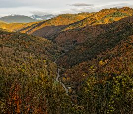 Una carretera serpenteante recorre el fondo de un valle tapizado por la transición cromática de la montaña. Vista panorámica desde una altura de un valle profundo rodeado de montañas con bosques otoñales en tonos verdes, amarillos y naranjas. Una carretera con curvas recorre el fondo del valle. Al fondo, montañas lejanas con picos nevados bajo un cielo nublado.