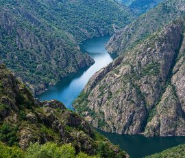 Un meandro perfecto dibuja la geografía gallega entre laderas de viñedos y bosques. Vista panorámica desde un punto elevado de un gran meandro del río Miño en Galicia. El río curva alrededor de una colina verde y frondosa. Las laderas del valle son empinadas y están llenas de árboles y vegetación.